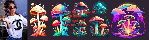 стафф Арсеньев
