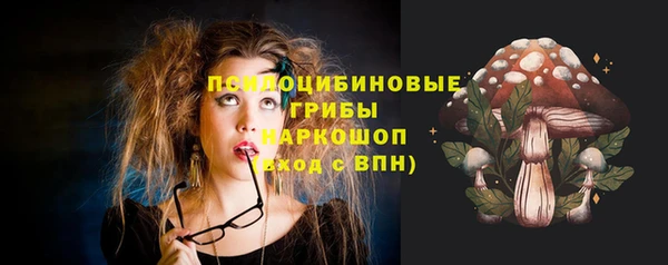 apvp Армянск
