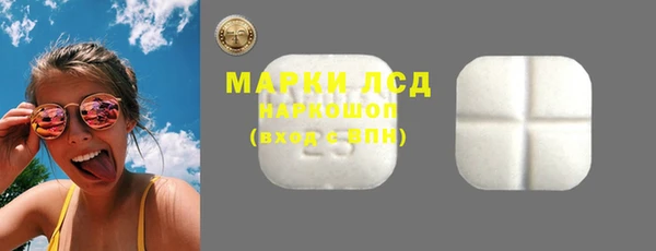 стафф Арсеньев