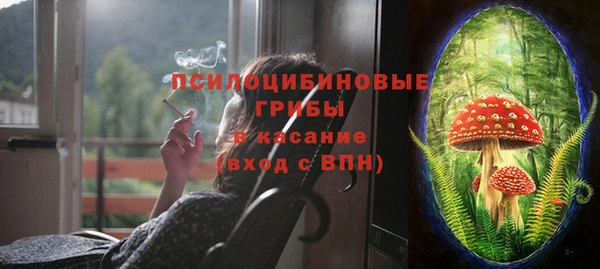 стафф Арсеньев