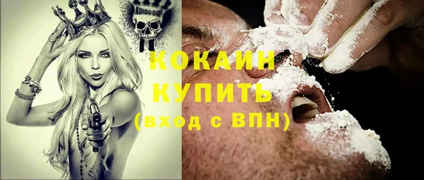 стафф Арсеньев
