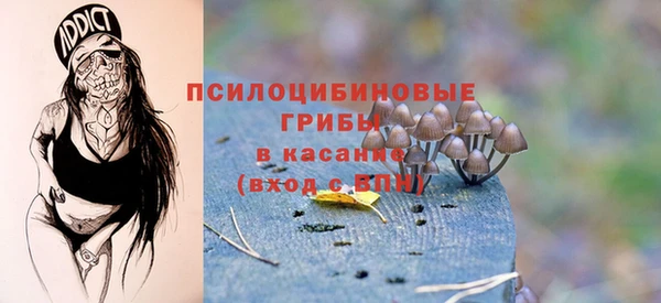 стафф Арсеньев