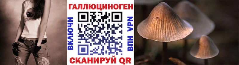 блэк спрут как войти  Нурлат  Галлюциногенные грибы прущие грибы 